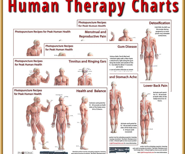 Human Recipe Charts, Posters, & Reference Materials – Photonic Therapy ...