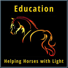 Collection image for: Education - Horses