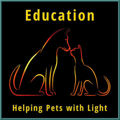 Collection image for: Education - Pets