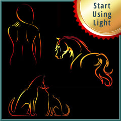 Collection image for: Starter Courses