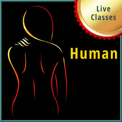 Collection image for: Live Human Classes