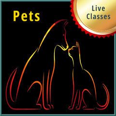 Collection image for: Live Pet Classes