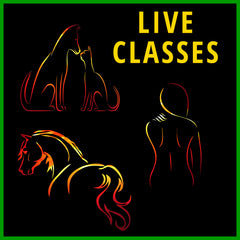 Collection image for: Live Classes