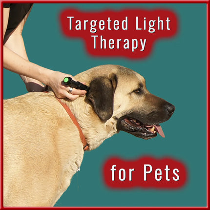 Targeted Light Therapy for Pets