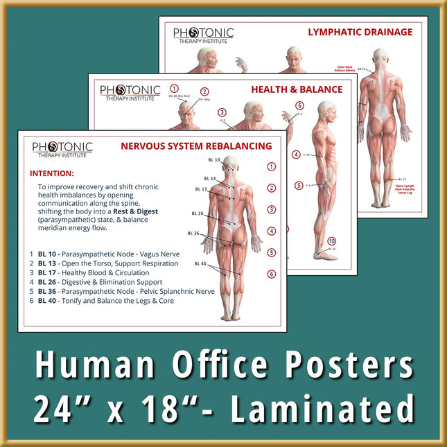 Humans Exercise Poster Human Recipe Charts, Posters, & Reference Materials – Photonic Therapy ...