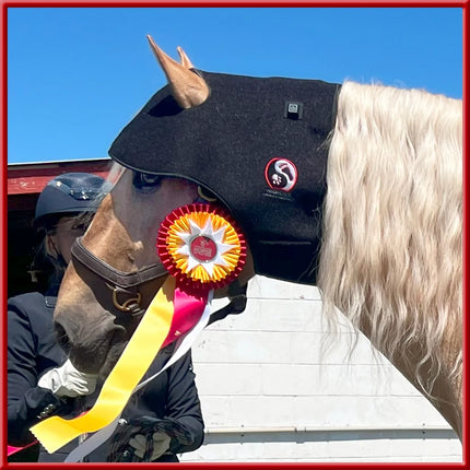 Light Ease Equine Poll Wrap