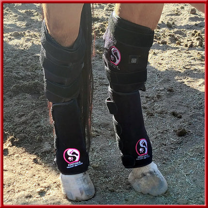 Leg And Hock Wraps