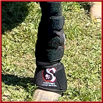 Leg And Joint Wrap