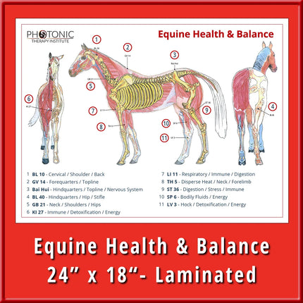 Equine Health & Balance Poster