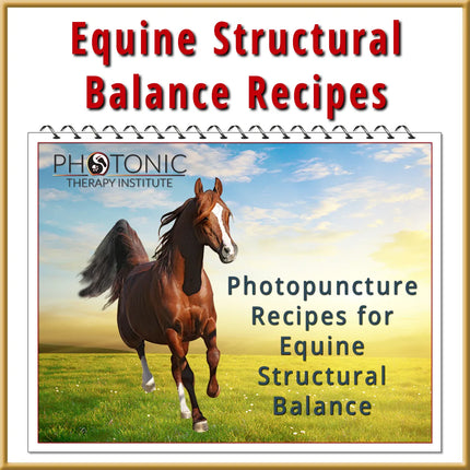Photopuncture Recipes for Equine Structural Balance