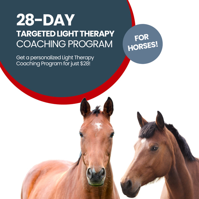 28 Day Targeted Light Therapy