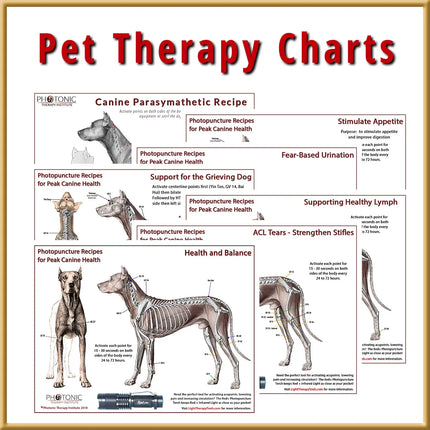 Pet Therapy Charts