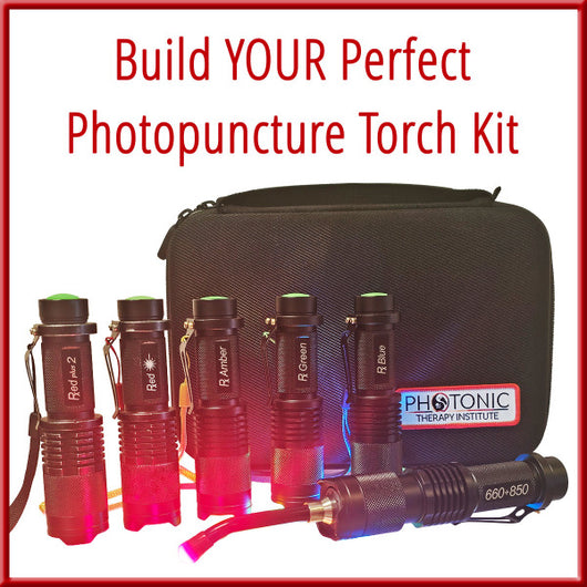 <h2>Why Build Your Own Kit?</h2>