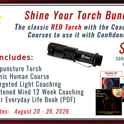 Shine Your Torch Bundle
