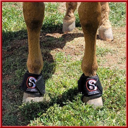 Laminitis & Founder Bundle