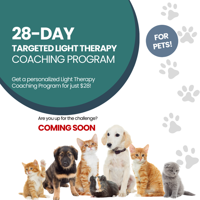 28-Day Targeted Light Therapy Coaching for Pets