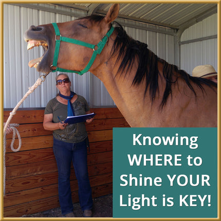 Targeted Light Therapy for Horses - Live Clinic