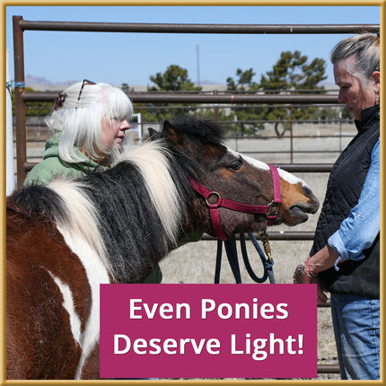 Targeted Light Therapy for Horses - Live Clinic
