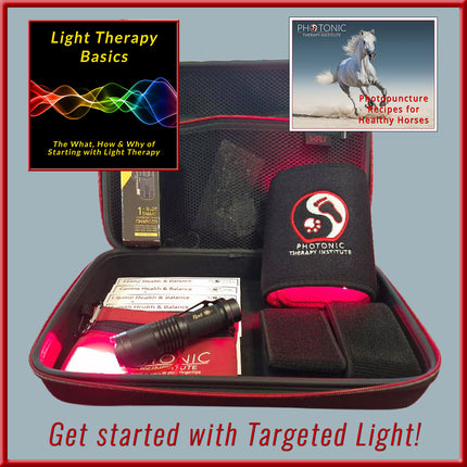 Targeted Light Starter Set - Horses