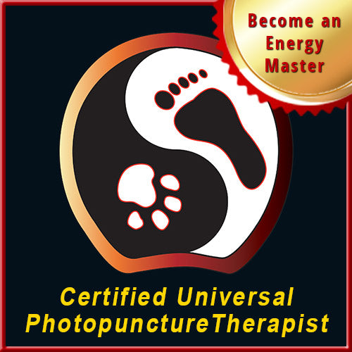 Become an Energy Master